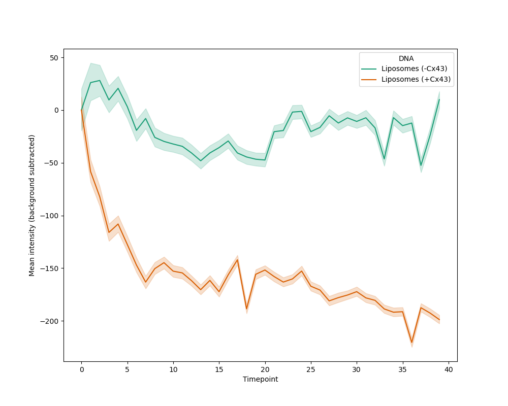 Background-subtracted Alexa Fluor 647 fluorescence intensity over 6 h at 37 °C. Liposomes containing Cx43 show a progressive decrease in encapsulated dye fluorescence relative to controls, consistent with pore-mediated dye leakage.