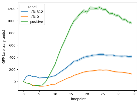 GFP expression within synthetic cells when induced with 312.5 µM anhydrotetracycline.