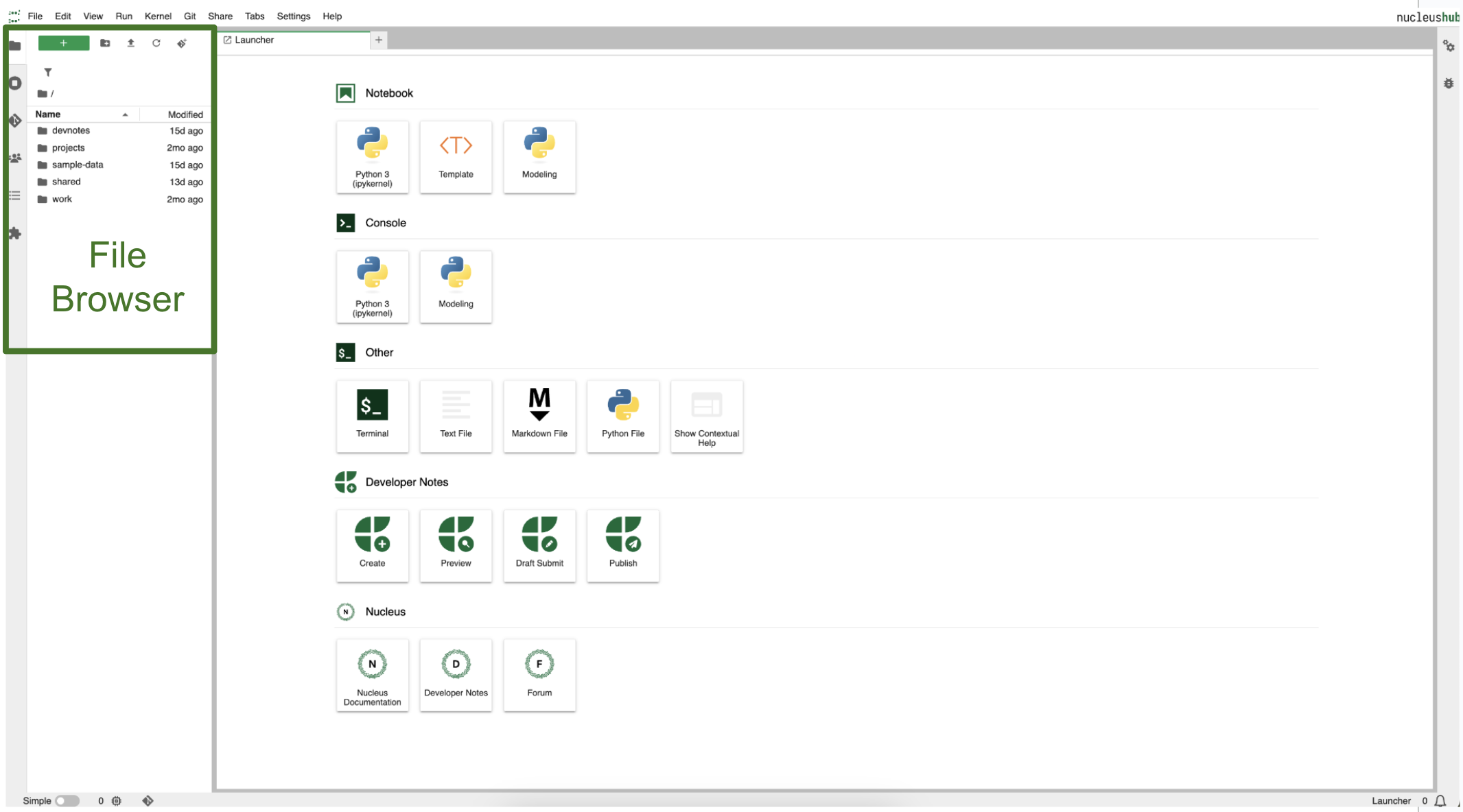 The file browser allows you to navigate your home directory to which notebooks, scripts, datasets, and other files can be saved.
