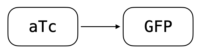 Schematic of the TetR inducible expression module. TetR represses expression from pT7-tetO-plamGFP; aTc relieves repression by binding TetR and causing its release from the tetO operator.