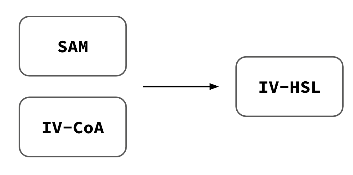 Design schematic of the IV-HSL Emitter module. pT7-bjaI expresses the BjaI enzyme, which converts SAM and IV-CoA substrates into IV-HSL. IV-HSL diffuses across the lipid bilayer and activates GFP expression in E. coli receiver cells via the BjaR transcription factor.