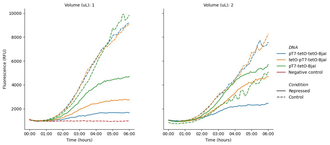 GFP induction kinetics in E. coli receiver cells carrying bjaR-GFP-native after addition of PURE reaction sample or control.