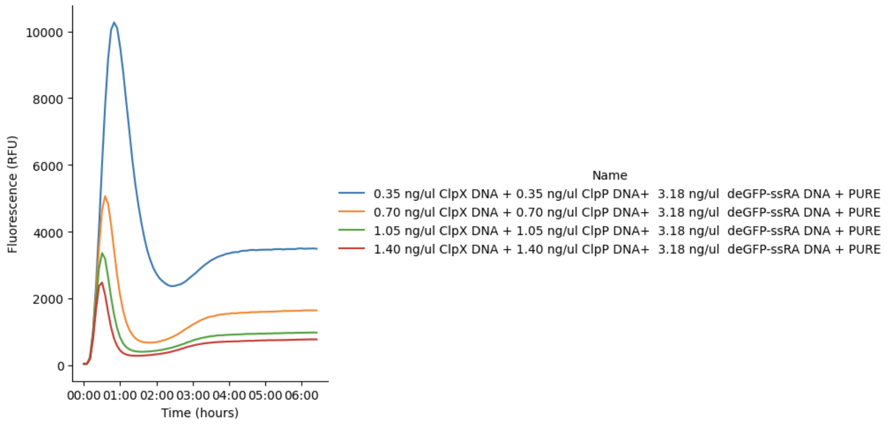 GFP fluorescence signal produced using pT7-deGFP-ssrA DNA in PURE reactions incubated at 37 °C for 6 h. ClpX and ClpP DNAs are co-expressed in the same PURE reaction. These results correspond to Reaction Table 2.