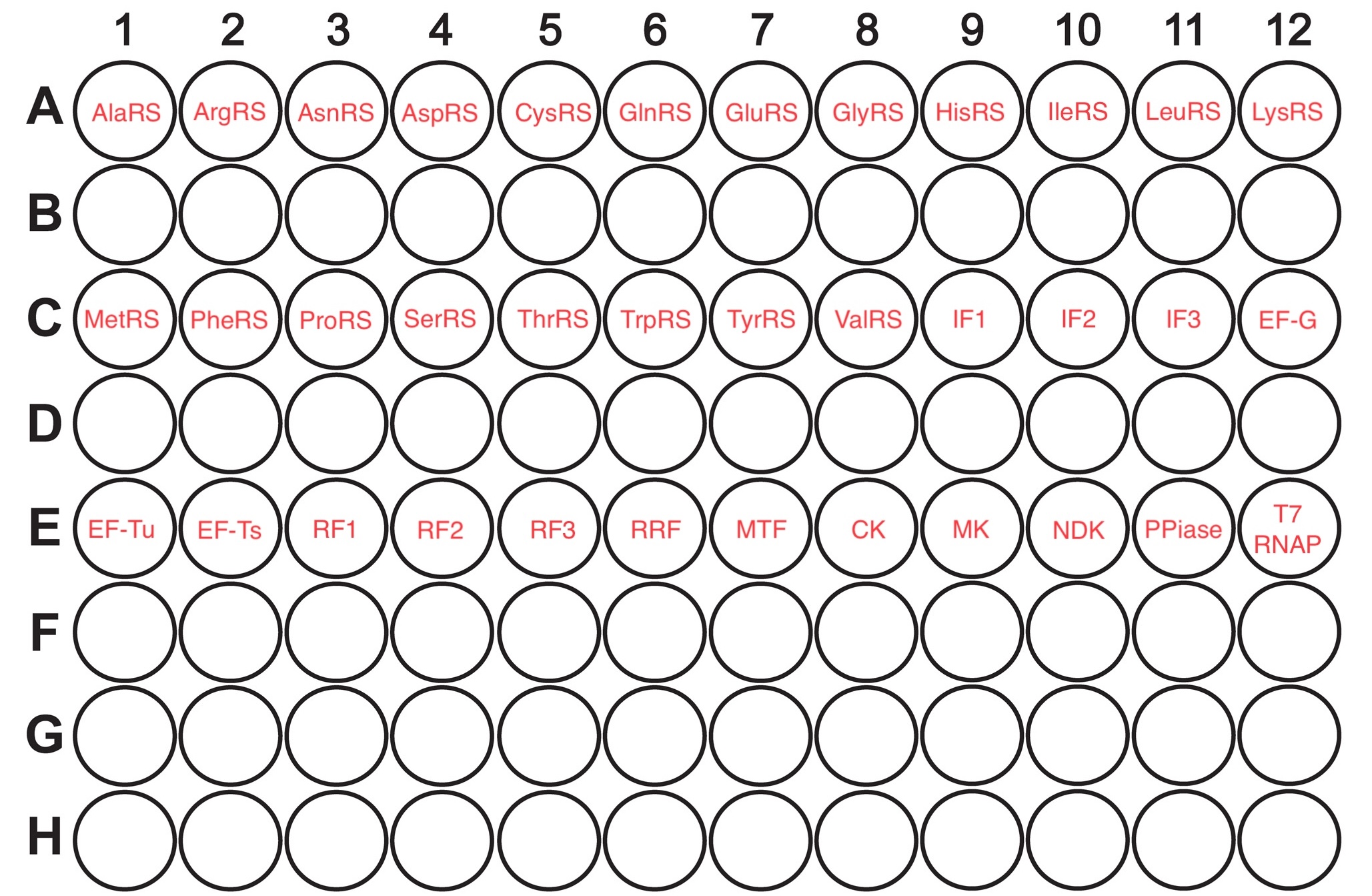 Plate layout of 40 µL PCR plate aliquots for the Nucleus OnePot PURE protocol.
