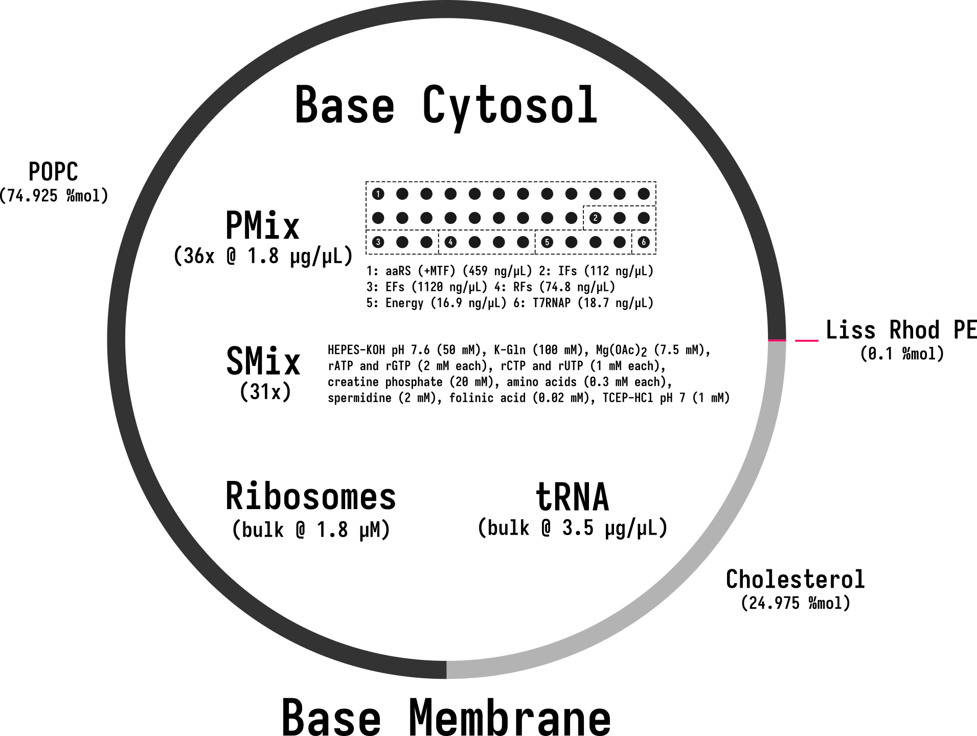 Overview of Base Cell, composed of Base Cytosol encapsulated with Base Membrane. Constitutive components of each module schematically depicted.